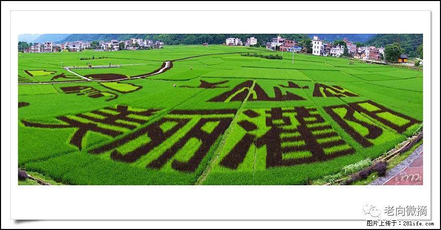 【春天，广西桂林灌阳县向您发出邀请！】开篇 - 游山玩水 - 马鞍山生活社区 - 马鞍山28生活网 mas.28life.com