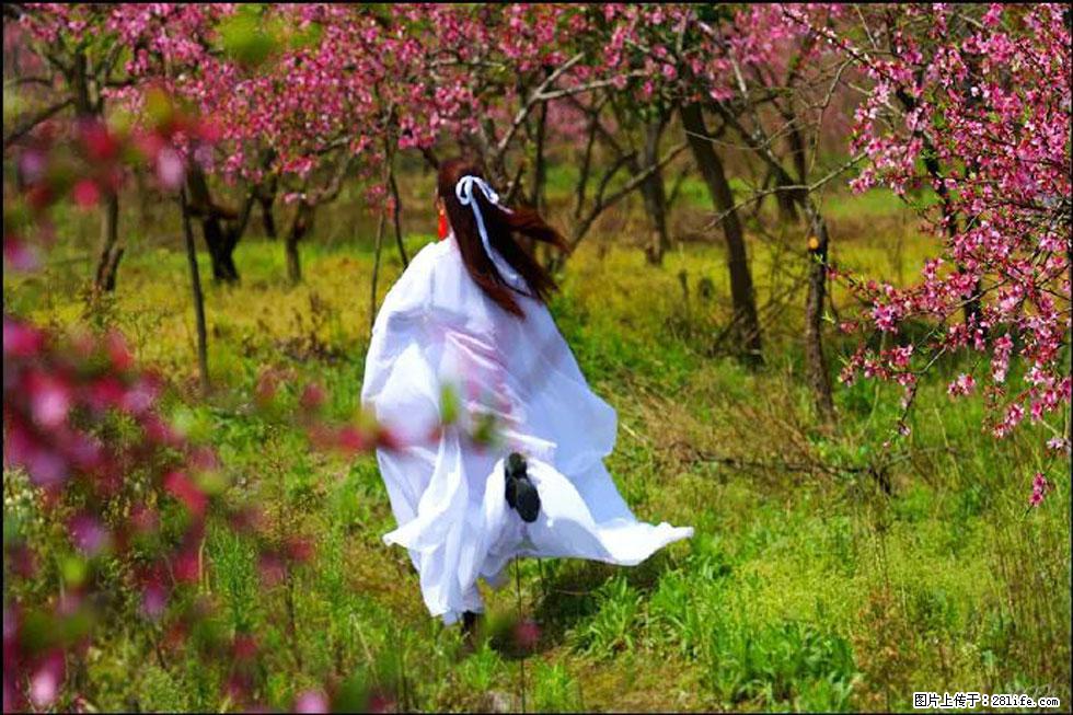 【春天,广西桂林灌阳县向您发出邀请!】官庄村有个醉美的桃花园 - 游山玩水 - 马鞍山生活社区 - 马鞍山28生活网 mas.28life.com