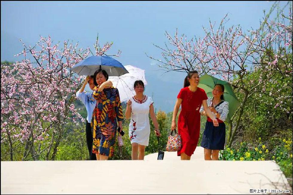 【春天,广西桂林灌阳县向您发出邀请!】望月岭上桃花开 - 游山玩水 - 马鞍山生活社区 - 马鞍山28生活网 mas.28life.com