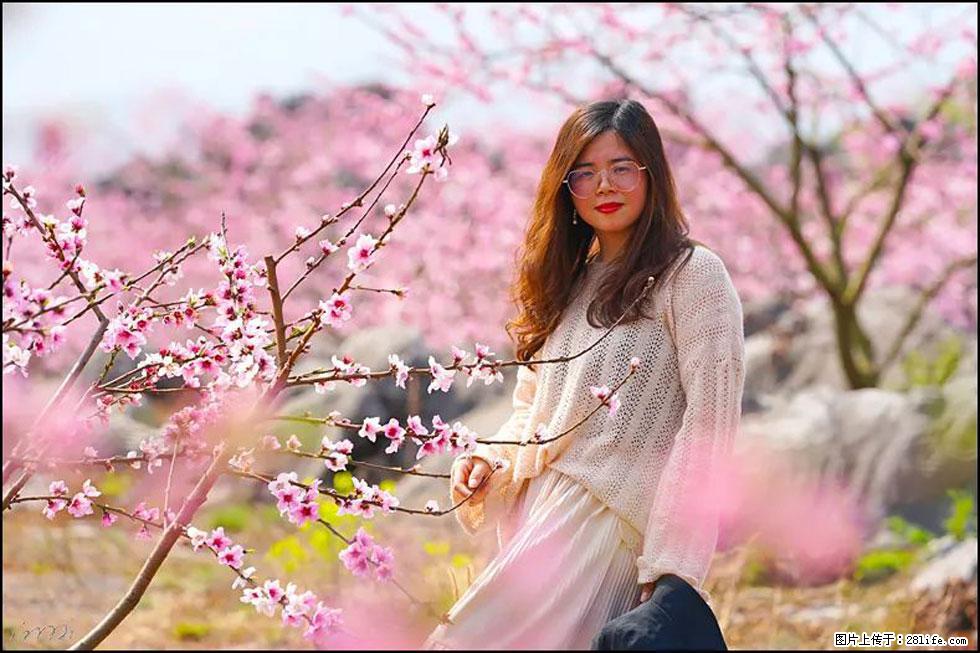 【春天,广西桂林灌阳县向您发出邀请!】望月岭上桃花开 - 游山玩水 - 马鞍山生活社区 - 马鞍山28生活网 mas.28life.com