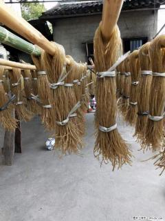 【灌阳正宗红薯粉】美女家里自己做的，干净卫生，假一赔十，价格合理，抢购电话：13737312895 - 马鞍山28生活网 mas.28life.com