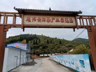 【灌阳县油茶产业示范区】一个有着充实的精神生活的人，对待身外之物自会有一种淡泊的态度 - 马鞍山28生活网 mas.28life.com