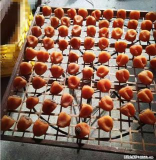 广西桂林平乐桥亭【柿饼之乡】2025年纯手工制作、无任何添加剂的第一批柿饼准备上市了，欢迎联系订购！ - 马鞍山28生活网 mas.28life.com