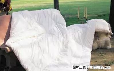 被子有异味？只要这样做，比晒太阳还强100倍！ - 家居生活 - 马鞍山生活社区 - 马鞍山28生活网 mas.28life.com