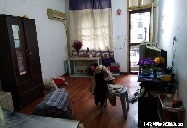 出租红星村,一室一厅,中装,650元 - 房屋出租 - 房屋租售 - 马鞍山分类信息 - 马鞍山28生活网 mas.28life.com