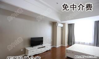 精装修万达公寓，人文住宅，时尚生活的选择，欧式全新家具家电 - 马鞍山28生活网 mas.28life.com