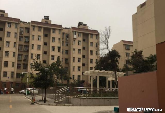 东苑小区2室您等什么,有比这更便宜的吗 - 房屋出租 - 房屋租售 - 马鞍山分类信息 - 马鞍山28生活网 mas.28life.com