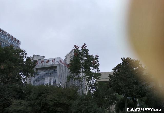 雨山一区两室一厅60平方米中等装修好房出租 - 房屋出租 - 房屋租售 - 马鞍山分类信息 - 马鞍山28生活网 mas.28life.com