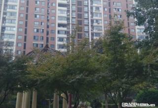 汇成上东两室两厅 中间楼层 设施齐全 拎包入住 环境优美 - 马鞍山28生活网 mas.28life.com