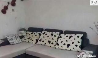 东城花园6楼复式精装全配1200出租 - 马鞍山28生活网 mas.28life.com