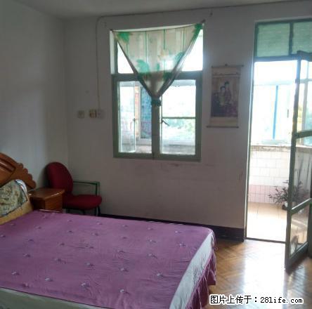 财富广场月季园小户型干净清爽 - 房屋出租 - 房屋租售 - 马鞍山分类信息 - 马鞍山28生活网 mas.28life.com