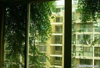 东方城 2室2厅1卫 精装拎包入住 - 马鞍山28生活网 mas.28life.com