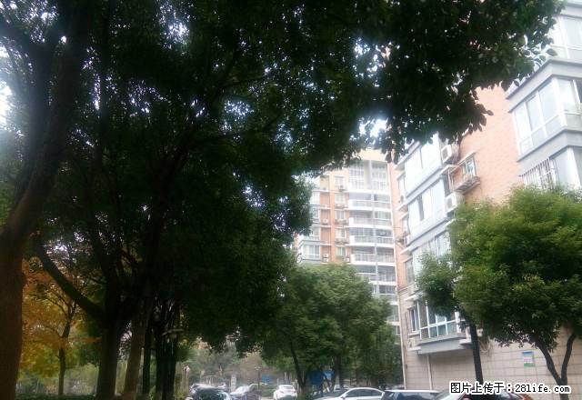 大润发商圈湖南新村两室一厅精装修住房出租 - 房屋出租 - 房屋租售 - 马鞍山分类信息 - 马鞍山28生活网 mas.28life.com