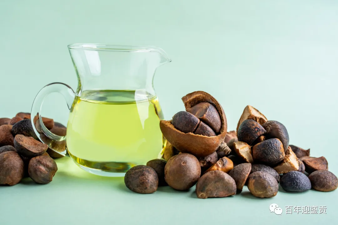 世界没有真相，只有认知，最好的食用油是中国的山茶油！ - 马鞍山生活资讯 - 马鞍山28生活网 mas.28life.com