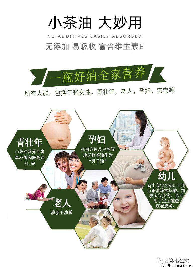 世界没有真相，只有认知，最好的食用油是中国的山茶油！ - 马鞍山生活资讯 - 马鞍山28生活网 mas.28life.com