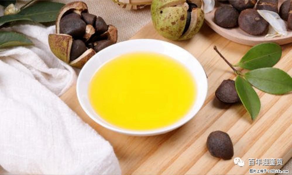 世界没有真相，只有认知，最好的食用油是中国的山茶油！ - 马鞍山生活资讯 - 马鞍山28生活网 mas.28life.com