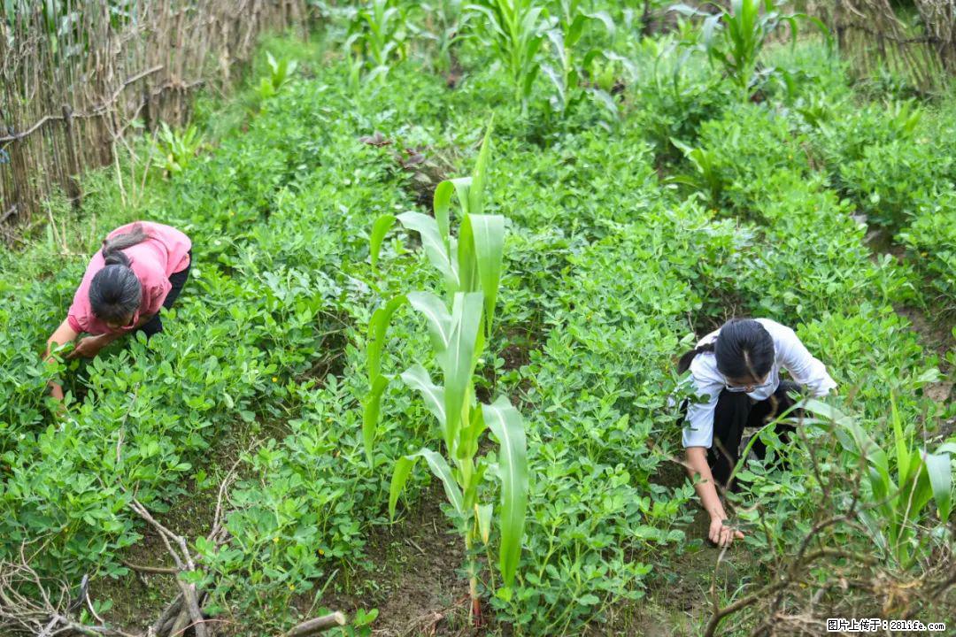 全网追的“扁担女孩”，找了一份暑假工，时薪12元 - 马鞍山生活资讯 - 马鞍山28生活网 mas.28life.com