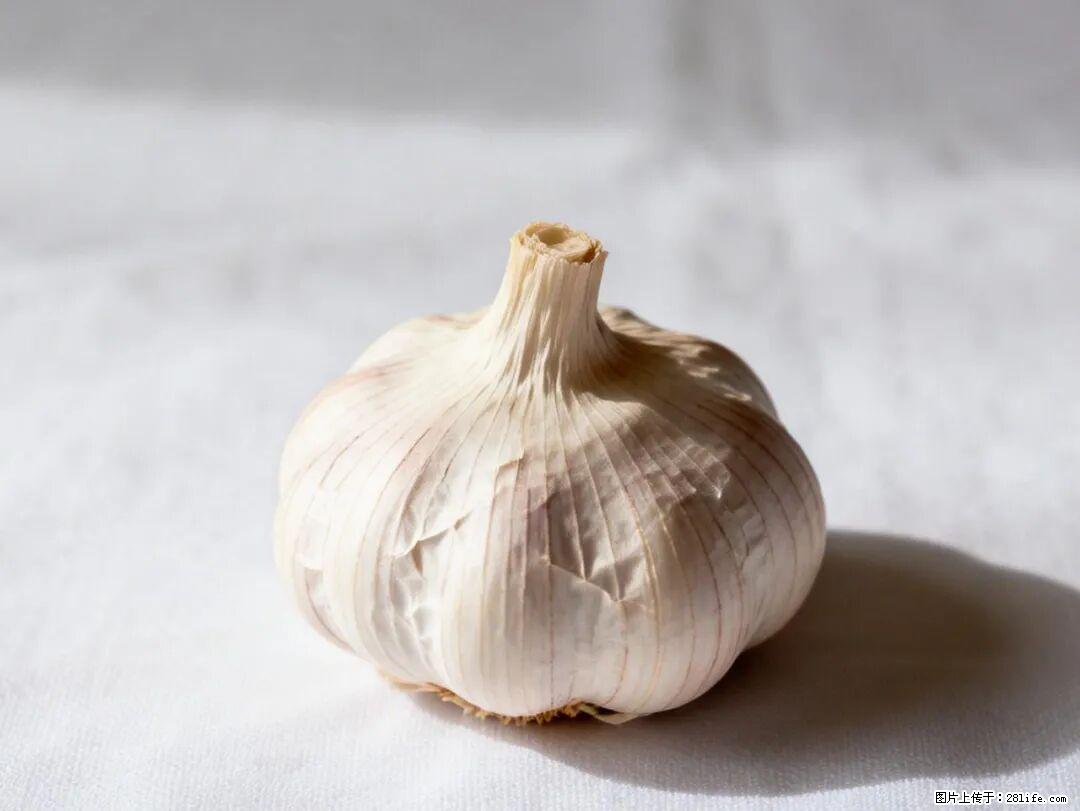 关于大蒜，除了“天然抗生素”，这4个谣言更该警惕! - 马鞍山生活资讯 - 马鞍山28生活网 mas.28life.com