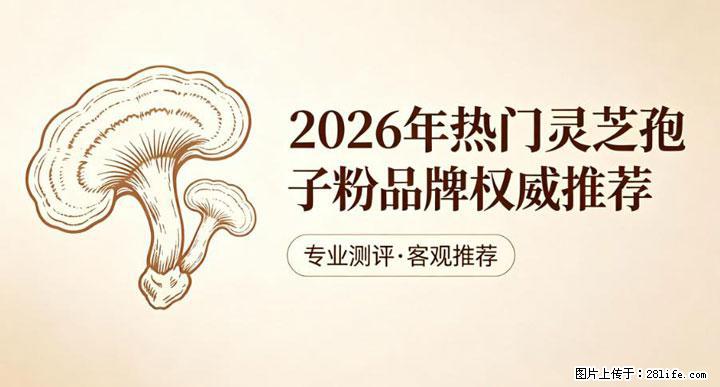 灵芝孢子粉含量越高越有效？2026 年七款热门品牌深度实测，肠胃敏感者避坑指南 - 马鞍山生活资讯 - 马鞍山28生活网 mas.28life.com